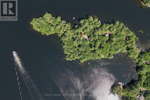 1124 Flanagan Trail, Gravenhurst, ON - Outdoor With Body Of Water With View