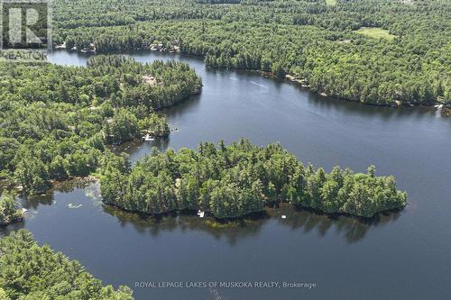 1124 Flanagan Trail, Gravenhurst, ON - Outdoor With Body Of Water With View