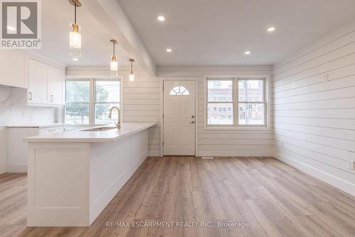 163 Glennie Avenue, Hamilton, ON - Indoor Photo Showing Kitchen With Double Sink