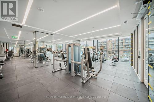 1306 - 220 Missinnihe Way, Mississauga, ON - Indoor Photo Showing Gym Room