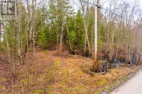 Lt 25 Woodworth Drive, Kawartha Lakes, ON 