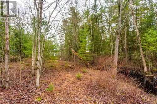 Lt 25 Woodworth Drive, Kawartha Lakes, ON 