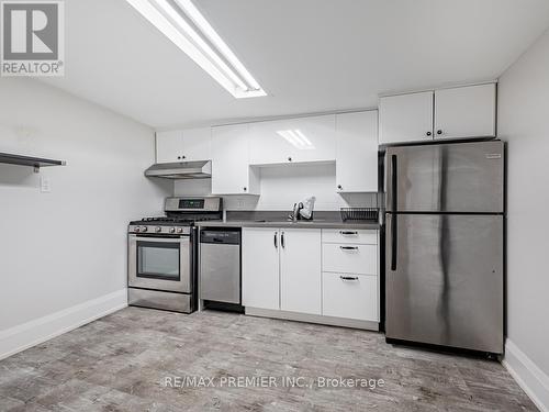 102 Bellevue Avenue, Toronto (Kensington-Chinatown), ON - Indoor Photo Showing Kitchen