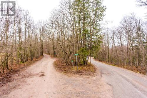 Pl 347 Island Rd Road, Kawartha Lakes, ON 