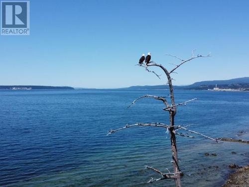 3998 Marine Ave, Powell River, BC - Outdoor With Body Of Water With View