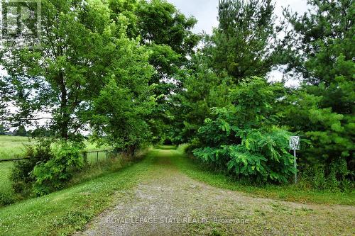 64 Gravenhurst Trail, Hamilton (Twenty Place), ON - Outdoor