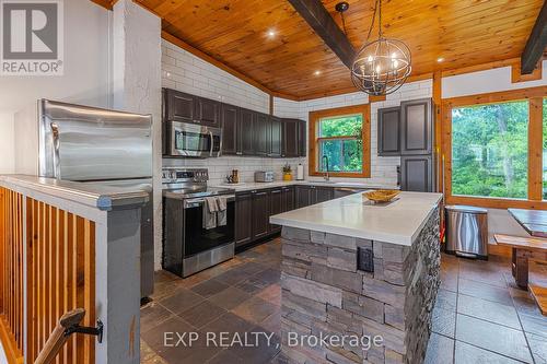 137 Kandahar Lane, Blue Mountains, ON - Indoor Photo Showing Kitchen With Upgraded Kitchen