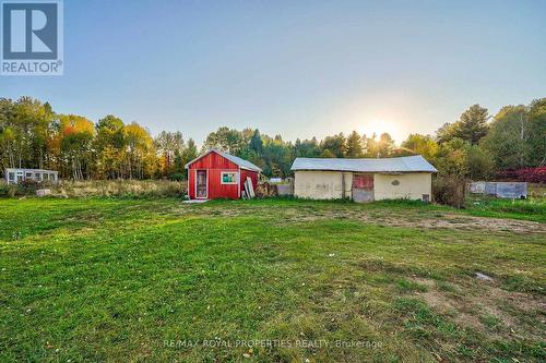 7657 Highway 35 Road, Kawartha Lakes, ON - Outdoor