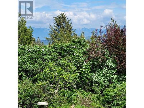 380 Ivy  Road, Cranbrook, BC - Outdoor With View