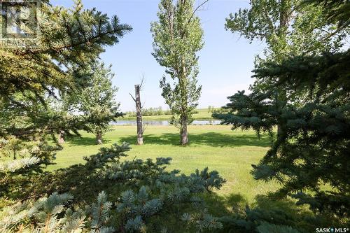 Morley Acreage, Francis Rm No. 127, SK - Outdoor With View