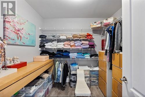 1051 Mia Anne Street, Lasalle, ON - Indoor With Storage