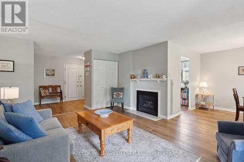 116 - 300 Everglade Crescent, London, ON - Indoor Photo Showing Living Room With Fireplace