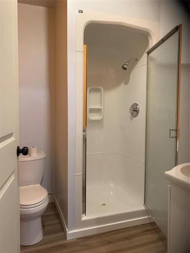 25 4Th Street, Gladstone, MB - Indoor Photo Showing Bathroom