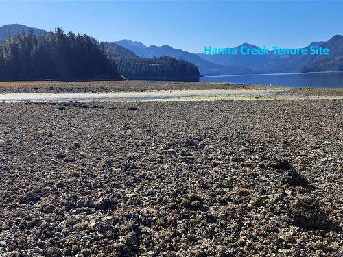 106456 Hanna Creek, Nootka Island, BC 