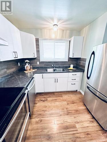 2 - 2994 Meadowbrook Lane, Windsor, ON - Indoor Photo Showing Kitchen With Double Sink