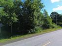 Lot 7 Landsdowne Road, Bear River, NS 