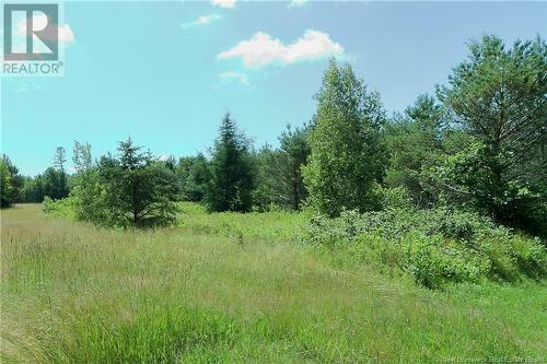 Lot 95 Main Street, Chipman, NB 