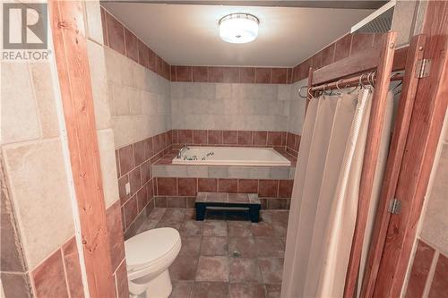 164 Axmith Avenue, Elliot Lake, ON - Indoor Photo Showing Bathroom