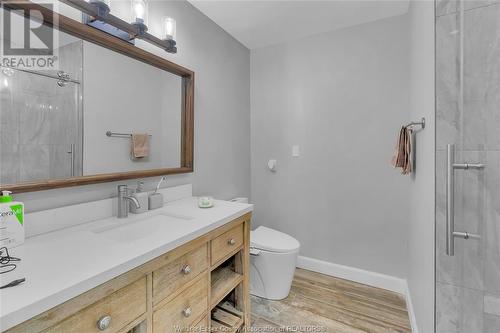 3928 Sixth Concession Road, Windsor, ON - Indoor Photo Showing Bathroom