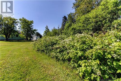 8 Picadilly Road, Picadilly, NB - Outdoor