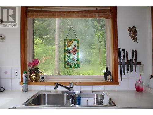 1598 Quast Road, Seymour Arm, BC - Indoor Photo Showing Kitchen With Double Sink