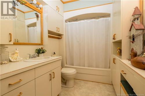 16 Beaulieu Street, Grand-Sault/Grand Falls, NB - Indoor Photo Showing Bathroom