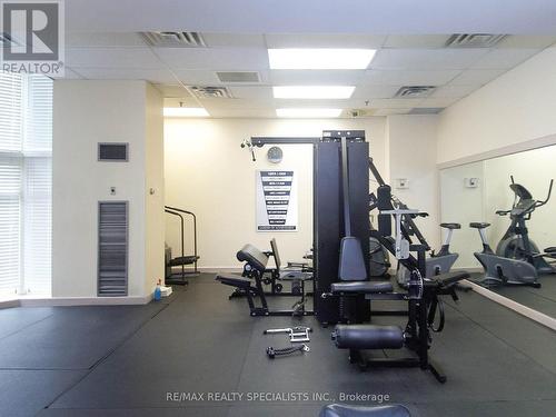 2010 - 3 Hickory Tree Road, Toronto W04, ON - Indoor Photo Showing Gym Room