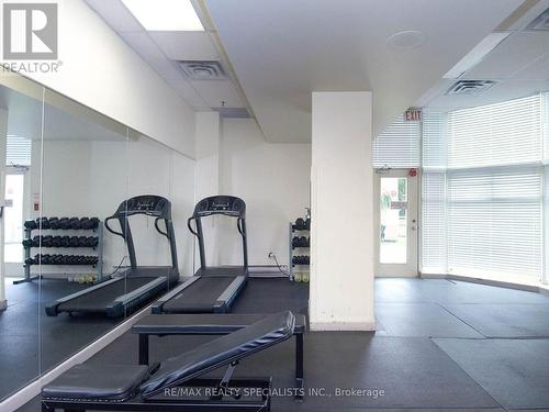 2010 - 3 Hickory Tree Road, Toronto W04, ON - Indoor Photo Showing Gym Room