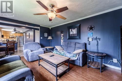 7 Drugget Place, St John'S, NL - Indoor Photo Showing Living Room