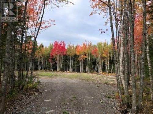 Lot 11-11 Shaeffer Road, Berry Mills, NB 