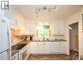 374 Brant Street, Ottawa, ON  - Indoor Photo Showing Kitchen With Double Sink 