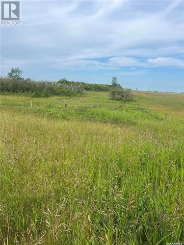 Beaver Creek Acreage Lot 2, Dundurn Rm No. 314, SK 