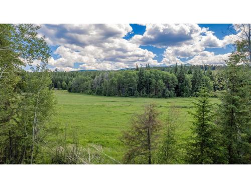 8144 Highway 3/93, Cranbrook, BC - Outdoor With View