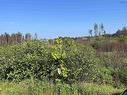 Lot 9010 Wyndham Drive, Upper Tantallon, NS 