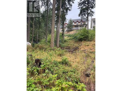 94 Chase Road, Christina Lake, BC - Outdoor With View