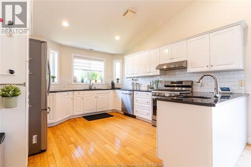 201 Gignac Crescent, Lasalle, ON - Indoor Photo Showing Kitchen With Upgraded Kitchen