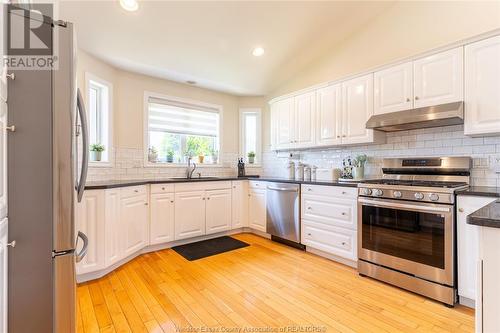 201 Gignac Crescent, Lasalle, ON - Indoor Photo Showing Kitchen With Upgraded Kitchen