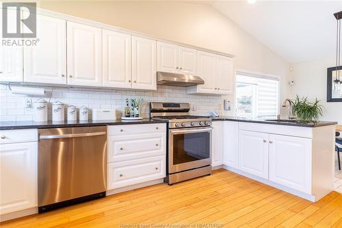 201 Gignac Crescent, Lasalle, ON - Indoor Photo Showing Kitchen