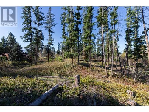 3281 Hall Road, Kelowna, BC - Outdoor With View