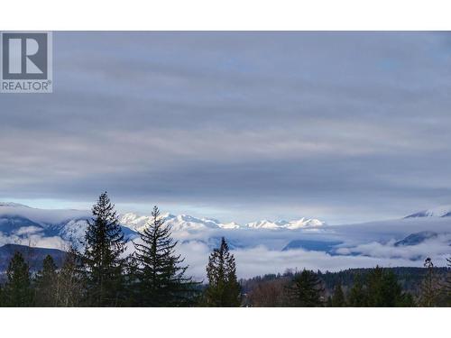 6 4022 Yeo Street, Terrace, BC - Outdoor With View