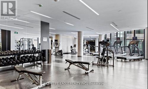 706 - 51 East Liberty Street, Toronto (Niagara), ON - Indoor Photo Showing Gym Room