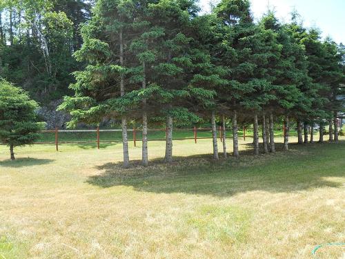 Land/Lot - 140 Rue De La Mer, Les Méchins, QC - Outdoor