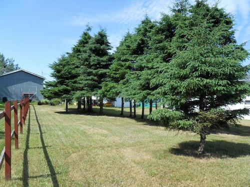 Land/Lot - 140 Rue De La Mer, Les Méchins, QC - Outdoor