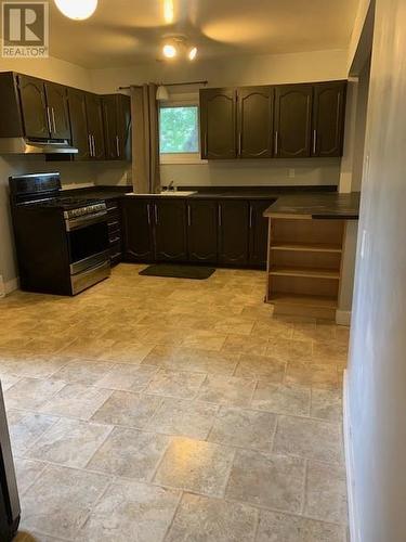 282 Lourdes Street, Sudbury, ON - Indoor Photo Showing Kitchen