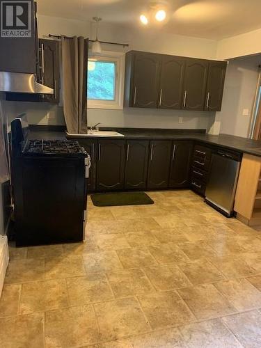 282 Lourdes Street, Sudbury, ON - Indoor Photo Showing Kitchen