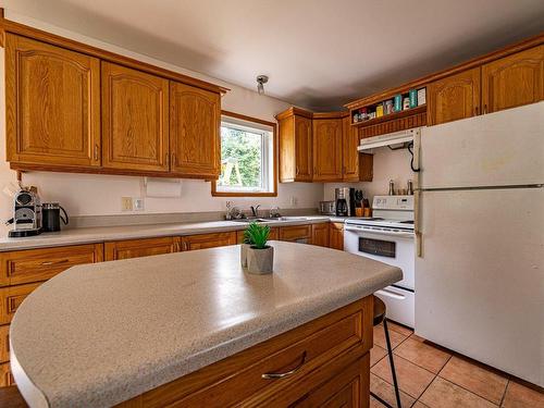 Kitchen - 32 Rue Ross, Wotton, QC - Indoor Photo Showing Kitchen With Double Sink