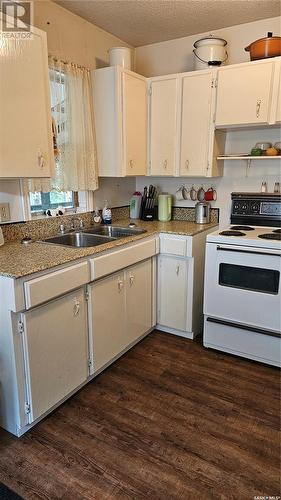 19 Struthers Drive, Struthers Lake, SK - Indoor Photo Showing Kitchen With Double Sink