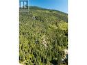 Lot 1 Erie-Ross Spur Road, Salmo, BC 