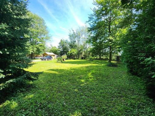 Land/Lot - 396 Rue Wilfrid-Laurier, Henryville, QC - Outdoor