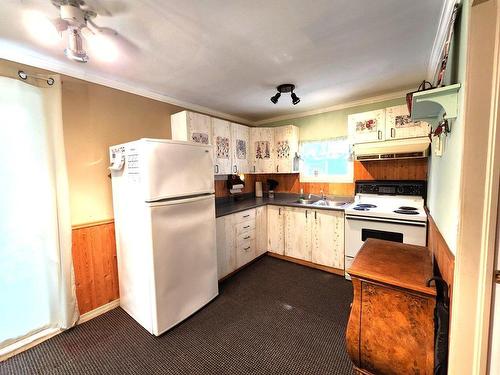 Kitchen - 396 Rue Wilfrid-Laurier, Henryville, QC - Indoor Photo Showing Kitchen With Double Sink